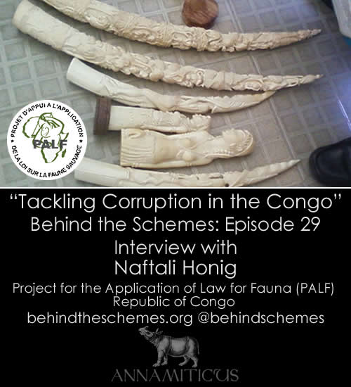 In Episode 29, we're talking about tackling corruption in the Congo with Naftali Honig from PALF.